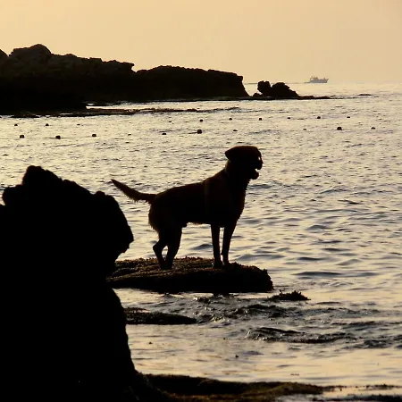 بيت للعطل Terrazza 3f Mondello *