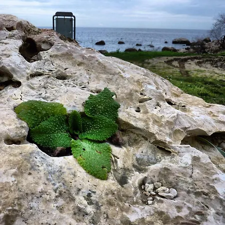 بيت للعطل Terrazza 3f Mondello