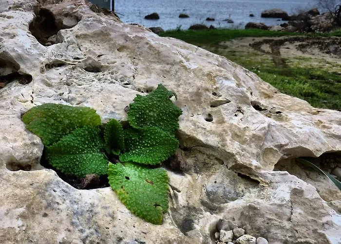 Сasa de vacaciones Terrazza 3f Mondello